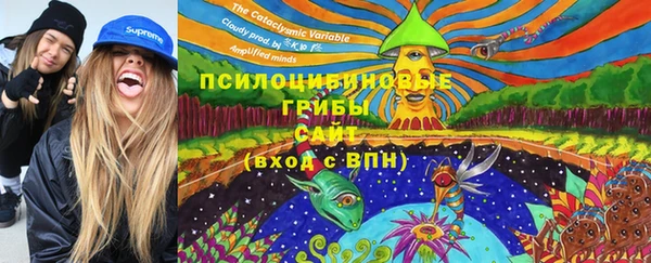 PSILOCYBIN Дмитров